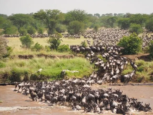 Kenya