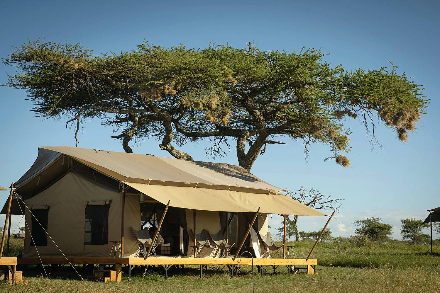 Siringit Serengeti Camp