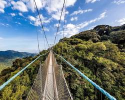Nyungwe